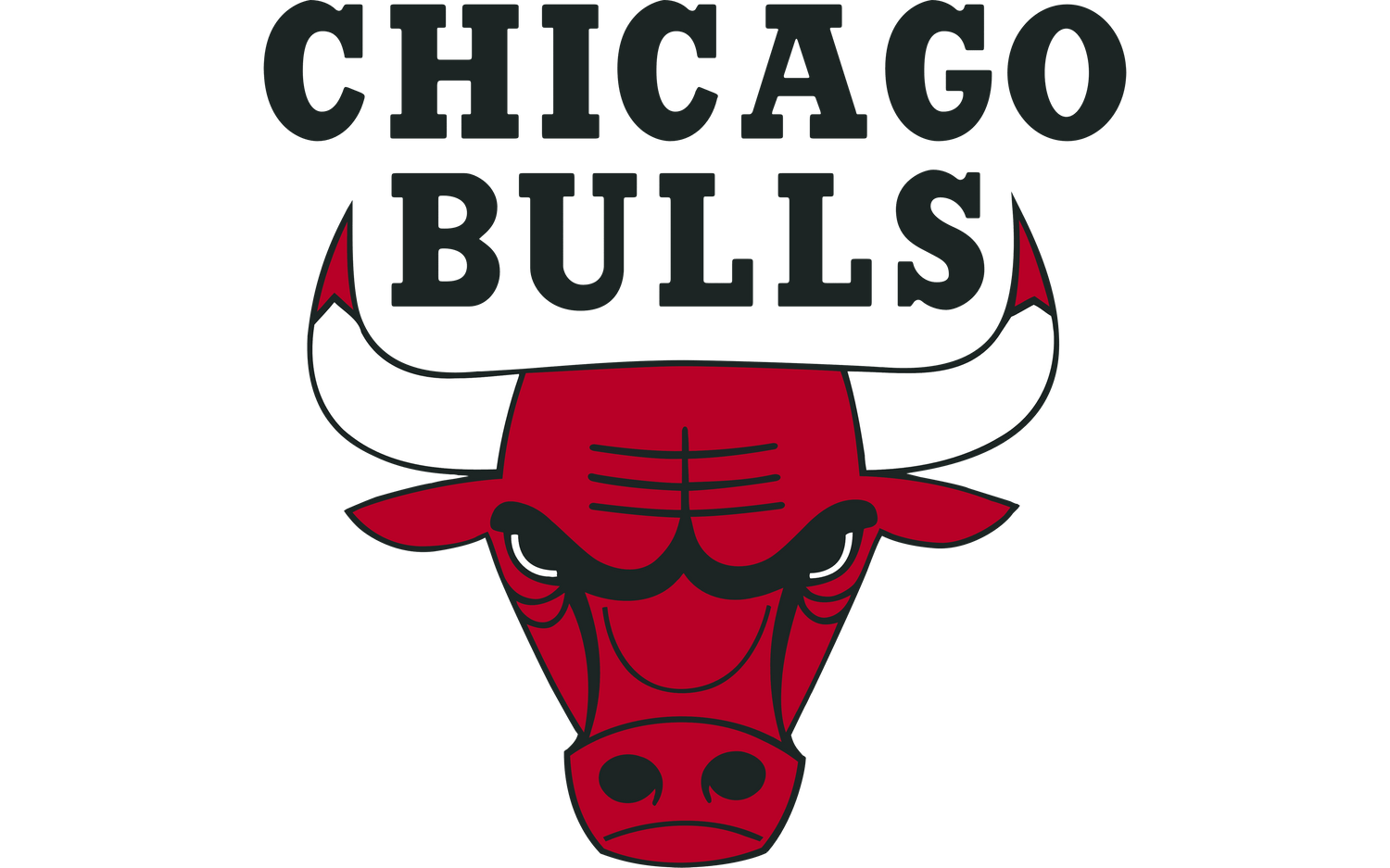 Chicago Bulls