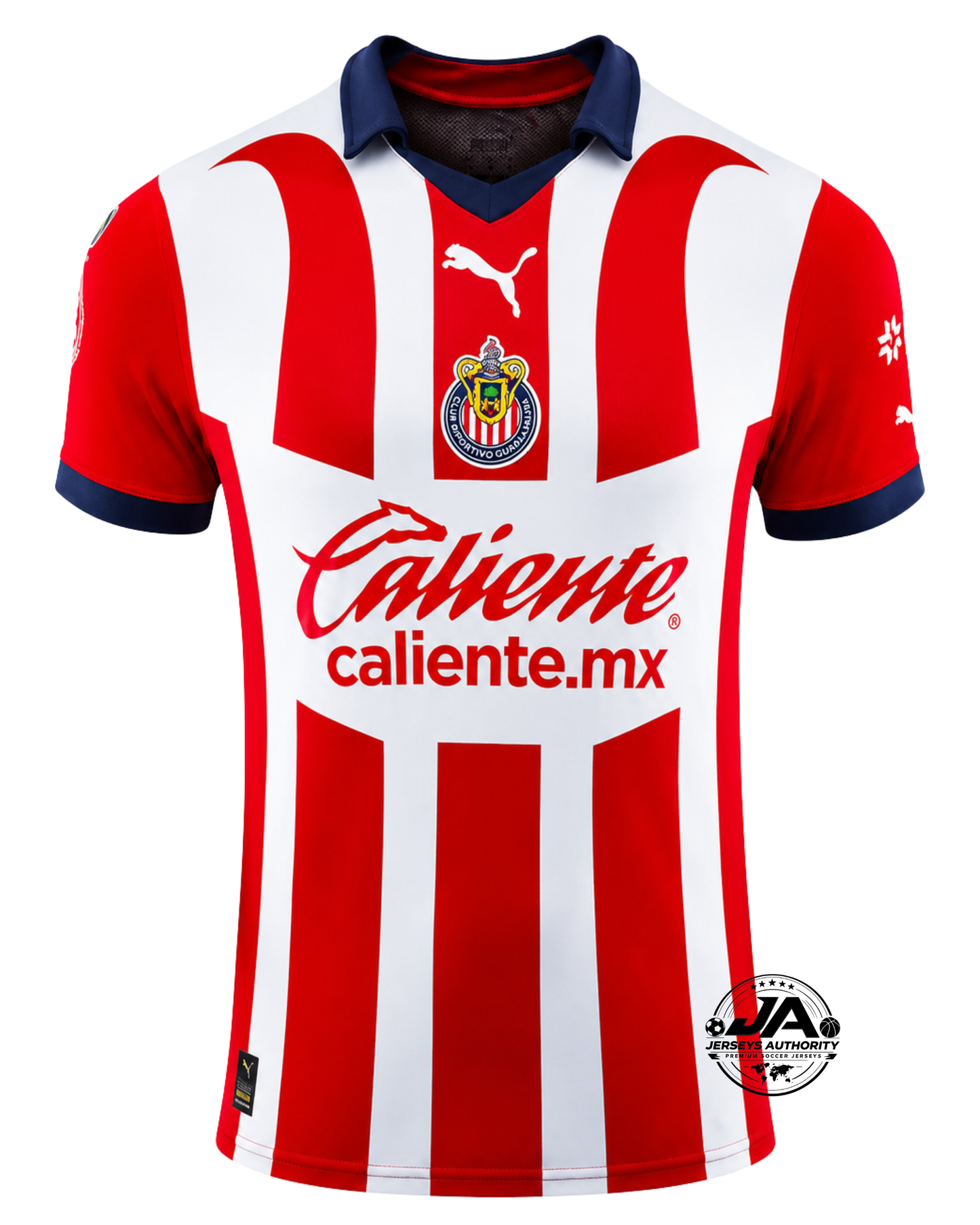 Chivas de Guadalajara Home Fan Jersey 2023/24