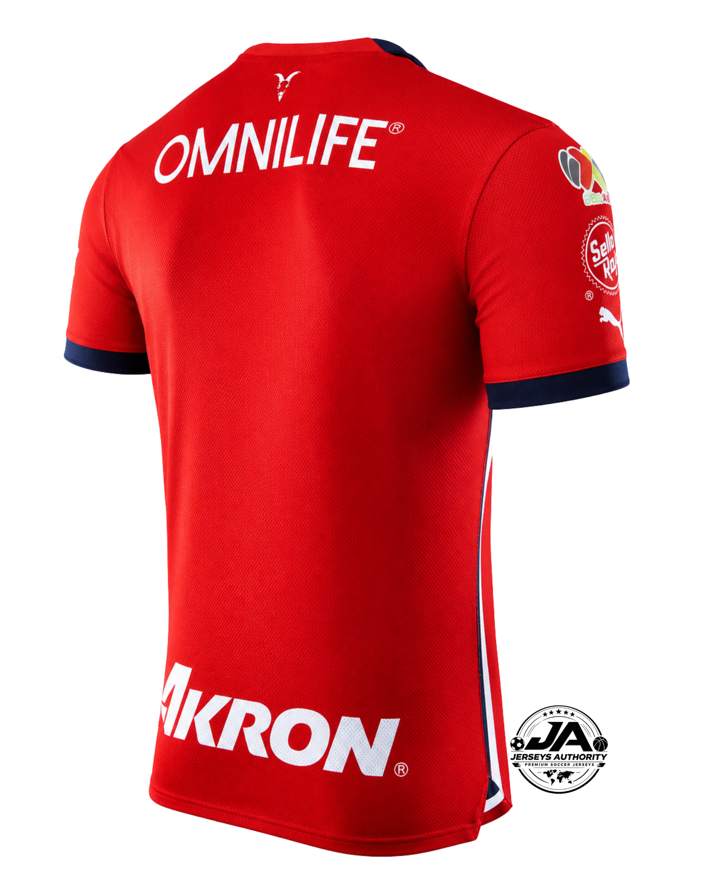 Chivas de Guadalajara Home Fan Jersey 2023/24
