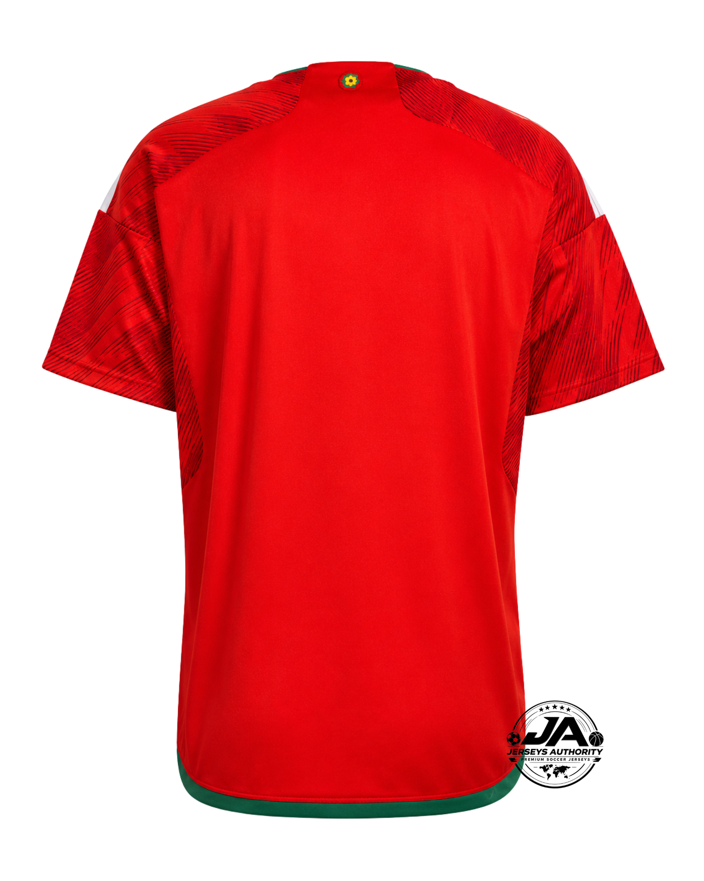 Wales 22/23 Home Jersey - Fan Version