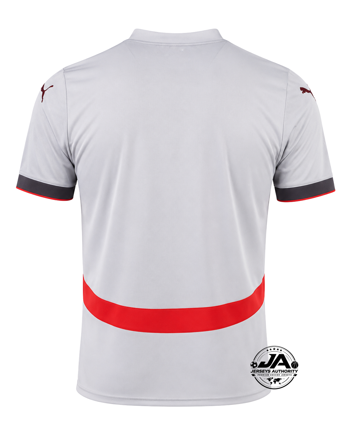 Iceland 24/25 Away Jersey - Fan Version