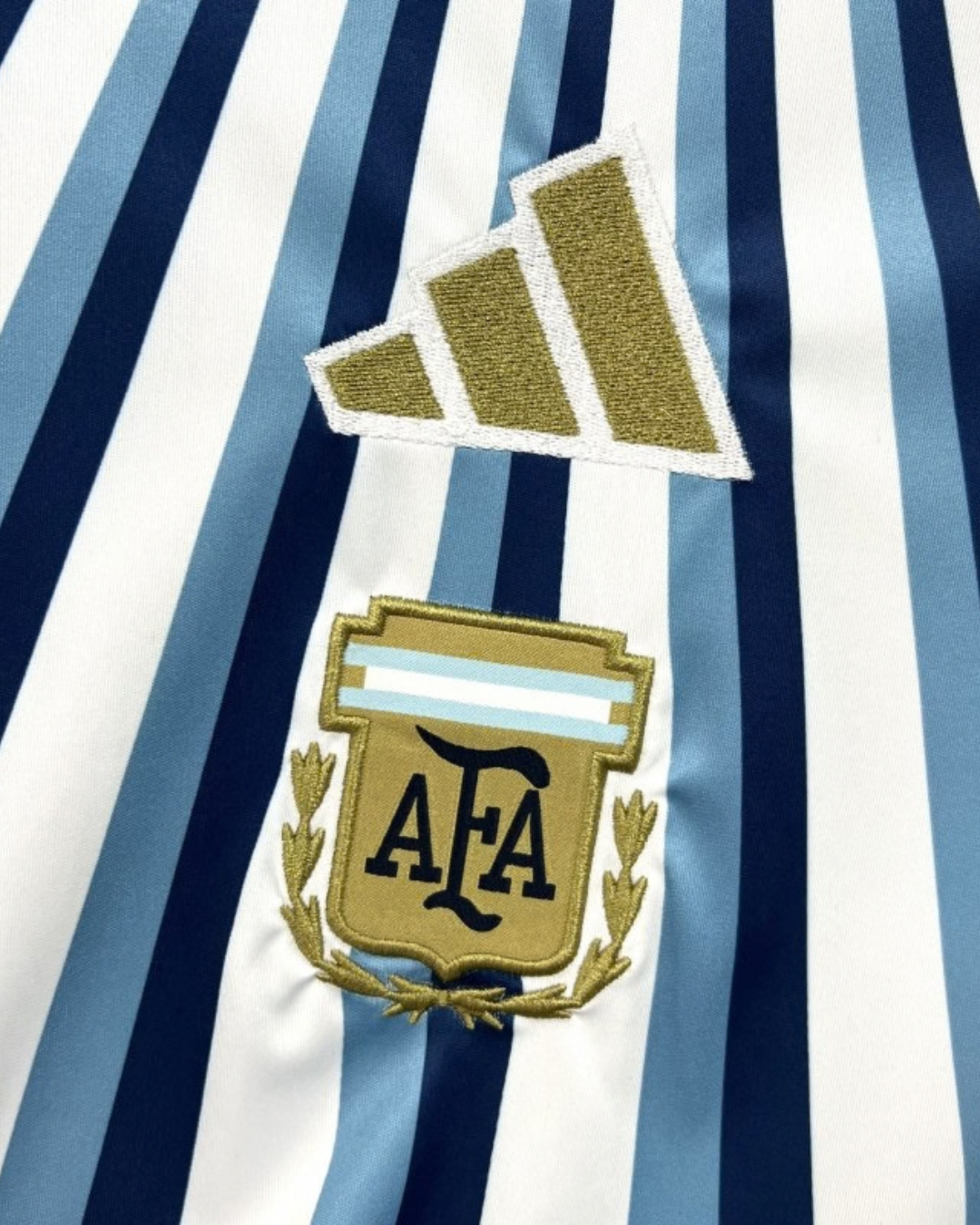 2026 Mens Argentina World Cup Special Jersey - Fan Version