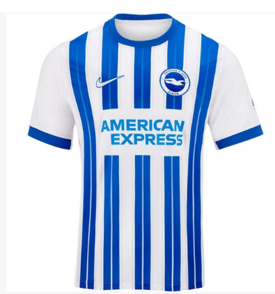 Brighton And Hove Albion 24/25 I Home Jersey - Fan Version