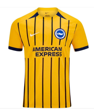 Brighton And Hove Albion 24/25 II Away Jersey - Fan Version