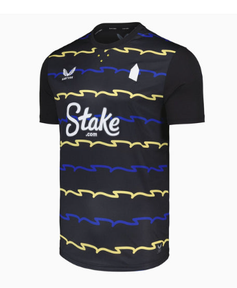 Everton 25/26 Away Jersey - Fan Version